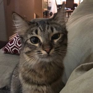 Meet your Posher, Nicole